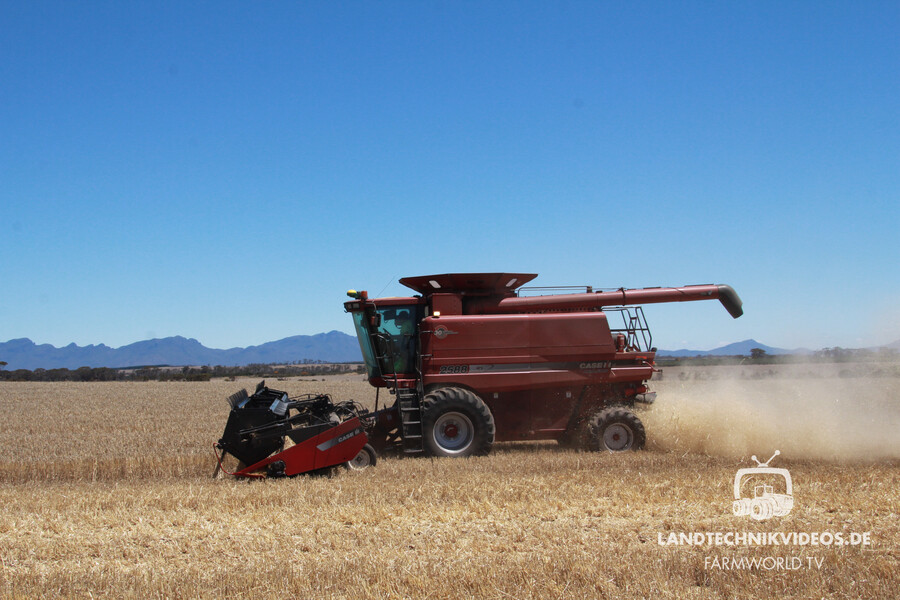 Grain Harvest Australia_02.jpg